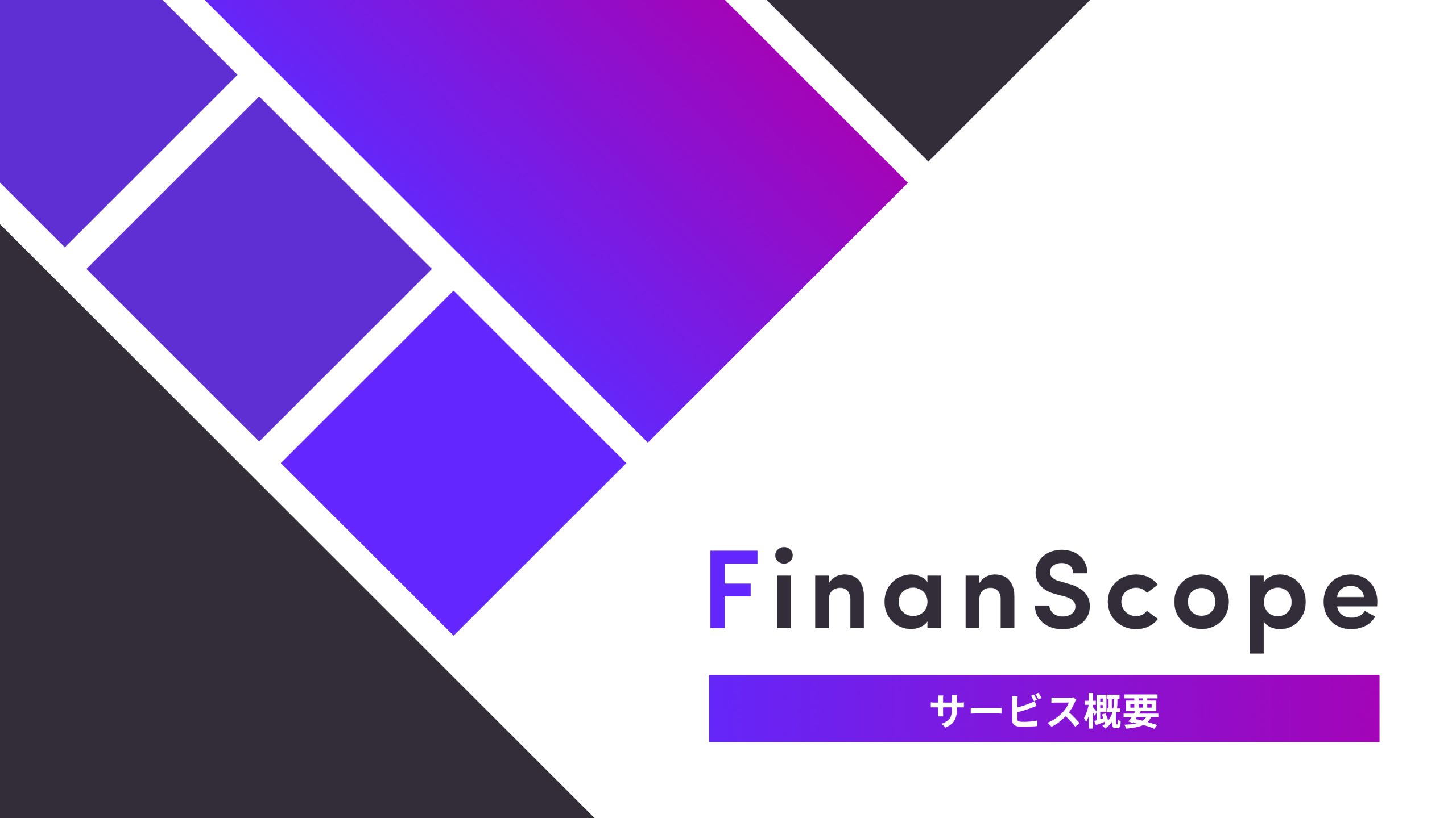 FinanScope サービス資料